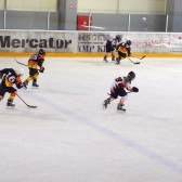 MK Sla - Mla 15